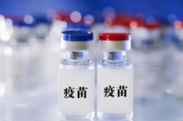 第二針新冠疫苗打完多久產(chǎn)生抗體 第二針新冠疫苗打完有什么反應