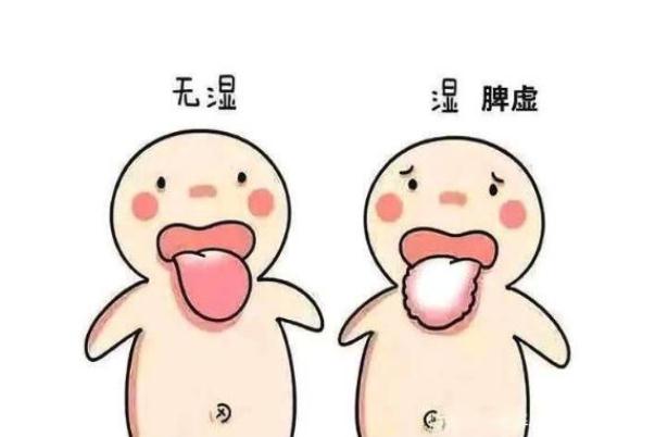 濕氣太重會(huì)掉頭發(fā)嗎 濕氣太重會(huì)不會(huì)長痘痘