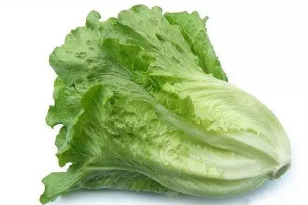 生菜洗的時(shí)候?yàn)槭裁磿?生菜洗的時(shí)候很多泡沫能吃嗎