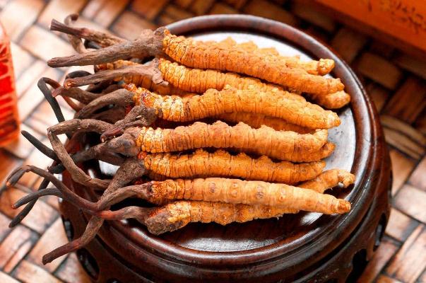 冬蟲(chóng)夏草有用嗎 冬蟲(chóng)夏草真的抗癌嗎