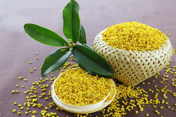 桂花茶用開(kāi)水泡嗎 桂花茶用什么杯子泡