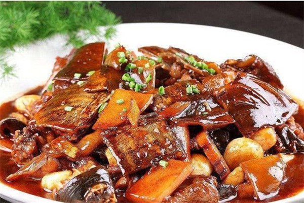 甲魚有膠原蛋白嗎 甲魚有什么營(yíng)養(yǎng)和功效