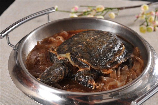 甲魚可以和雞一起燉嗎 甲魚和什么煲湯最有營(yíng)養(yǎng)