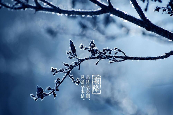 霜降是第幾個(gè)節(jié)氣 霜降意味著什么