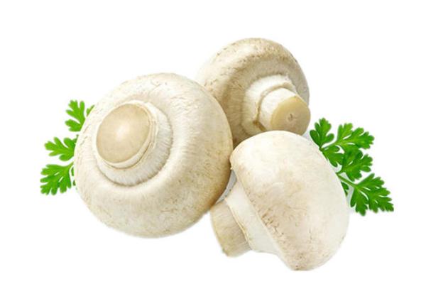 口蘑的營養(yǎng)價(jià)值與功效 口蘑的禁忌