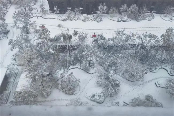 暴雪的標(biāo)準(zhǔn)是多少 暴雪對(duì)生活的影響