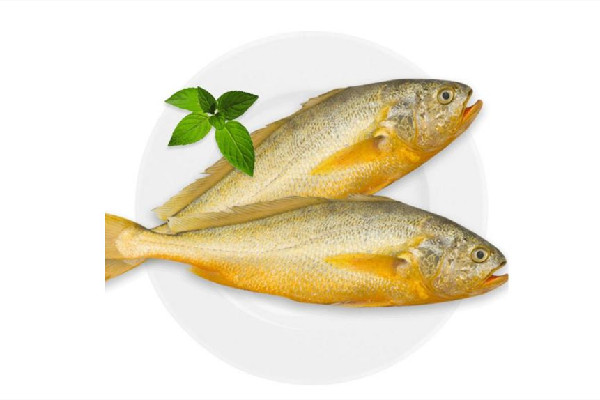 黃花魚(yú)是海魚(yú)還是淡水魚(yú) 黃花魚(yú)屬于海鮮嗎
