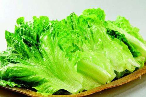 生菜的營養(yǎng)價(jià)值是什么 生菜可以涼拌吃嗎