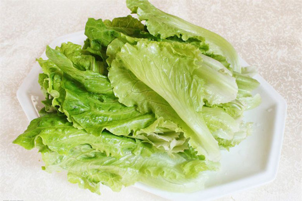 生菜會不會致癌 生菜應該怎么清洗