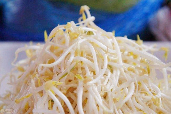 黃豆芽有什么營養(yǎng)價(jià)值 黃豆芽會中毒嗎