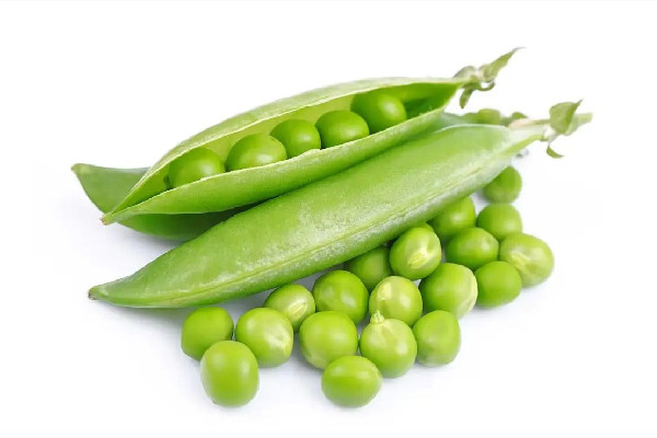 青豆要煮多久才熟 青豆不熟會(huì)中毒嗎