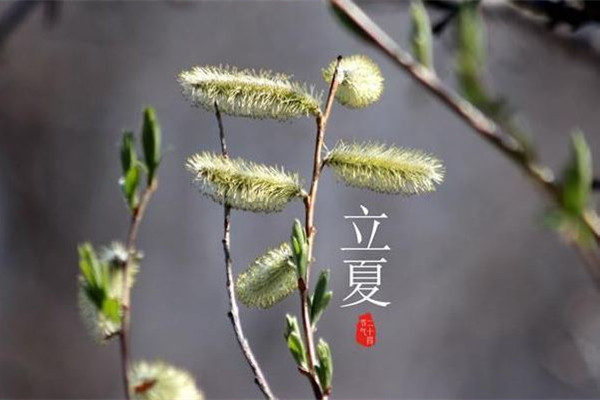 立夏的來(lái)歷和風(fēng)俗 立夏可以穿夏裝嗎