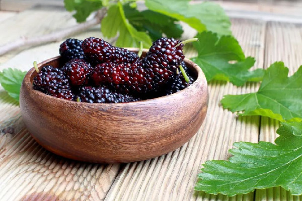 桑葚有沒(méi)有蟲子 桑葚清洗的正確方法