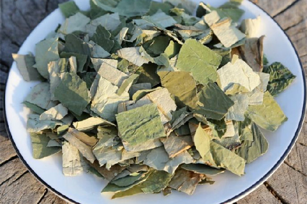 干荷葉泡水喝會(huì)拉肚子嗎 干荷葉泡水對(duì)導(dǎo)致胃不舒服嗎