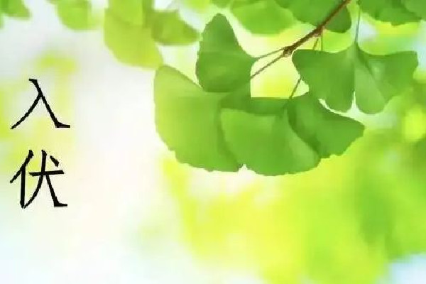入伏要注意些什么 入伏會(huì)很熱嗎