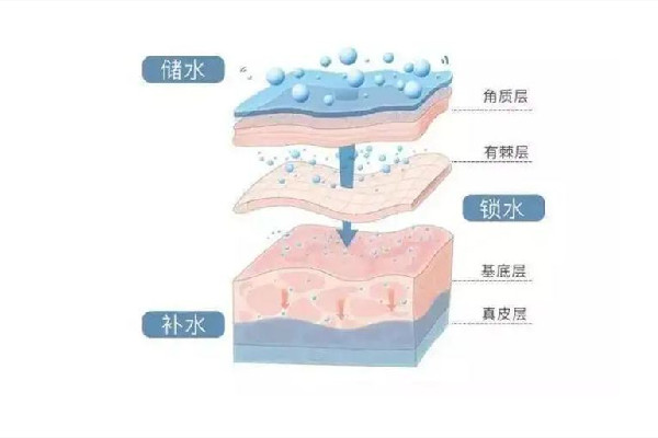 光谷瑞妮可思·科技抗衰中心補水修復(fù)項目怎么樣 肌膚修復(fù)可以做幾次