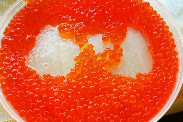 魚籽是魚的什么 魚籽是母魚才會(huì)有嗎