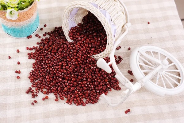 紅豆怎么保存不生蟲(chóng) 紅豆放了三年還能吃嗎
