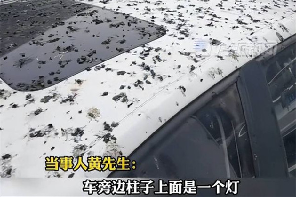 男子停車半小時車身獨得鳥屎全覆蓋 停車為什么要收費(fèi)