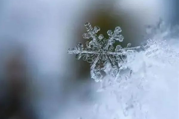 今年首場寒潮最強(qiáng)雨雪下在哪? 雨雪天氣會(huì)影響手機(jī)信號嗎