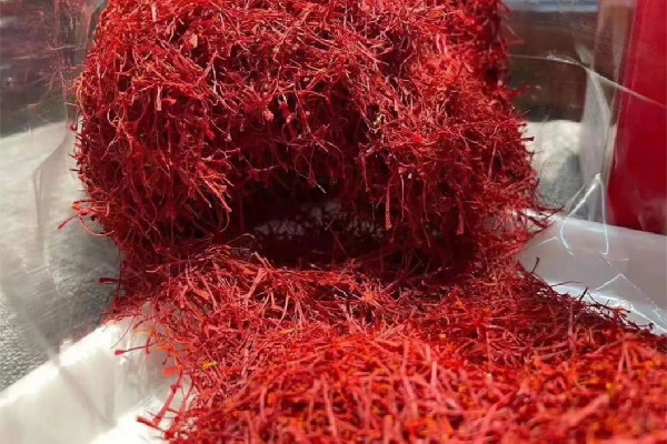 藏紅花是哪里產的 藏紅花買伊朗的好還是西藏的