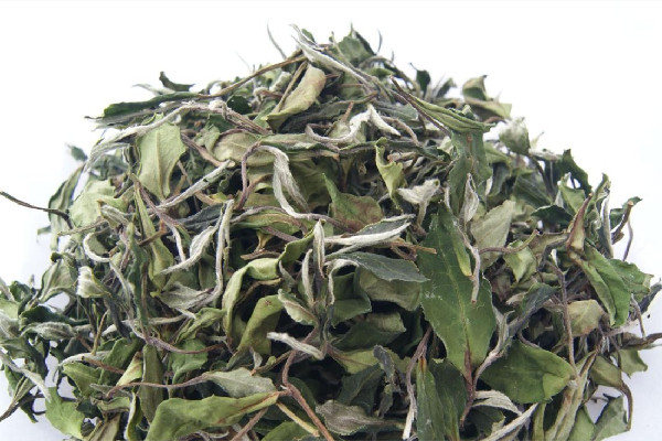 白牡丹茶喝了會(huì)失眠嗎 白牡丹茶對(duì)身體好嗎